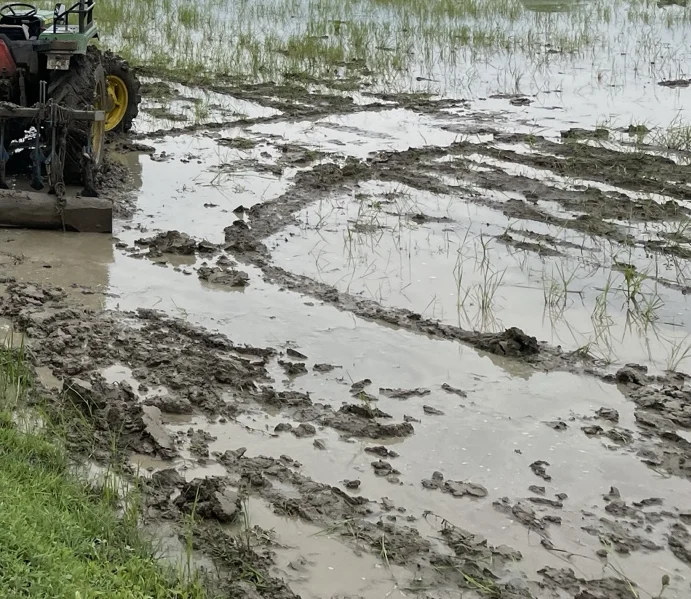 Wheel tracks and standing water in the equipment archive.